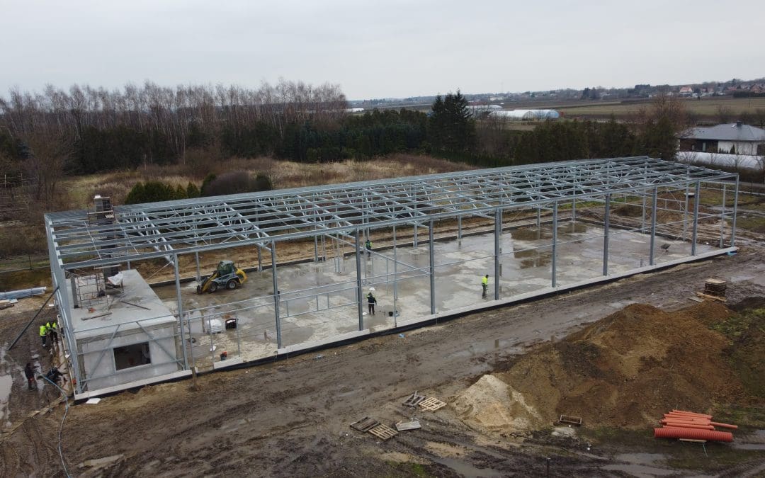 Montaż konstrukcji Puławy