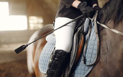 Hale stalowe jako ujeżdżalnie dla koni