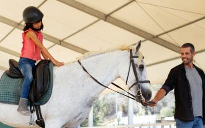 Hala namiotowa na&nbsp;ujeżdżalnię – Twój&nbsp;sposób na&nbsp;jazdę przez&nbsp;cały rok