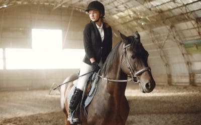 Ujeżdżalnie dla koni latem. Komfort treningu i&nbsp;bezpieczeństwo bez&nbsp;kompromisów