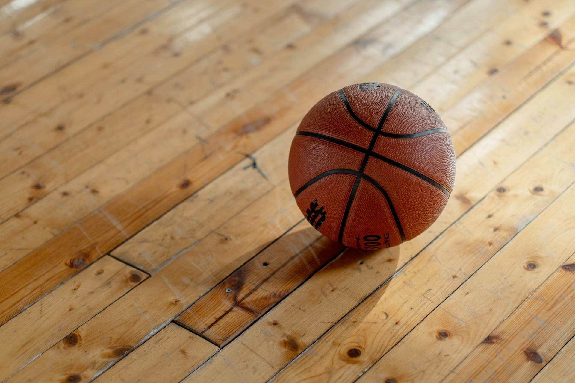 hale widowiskowo sportowe konstrukcje stalowe